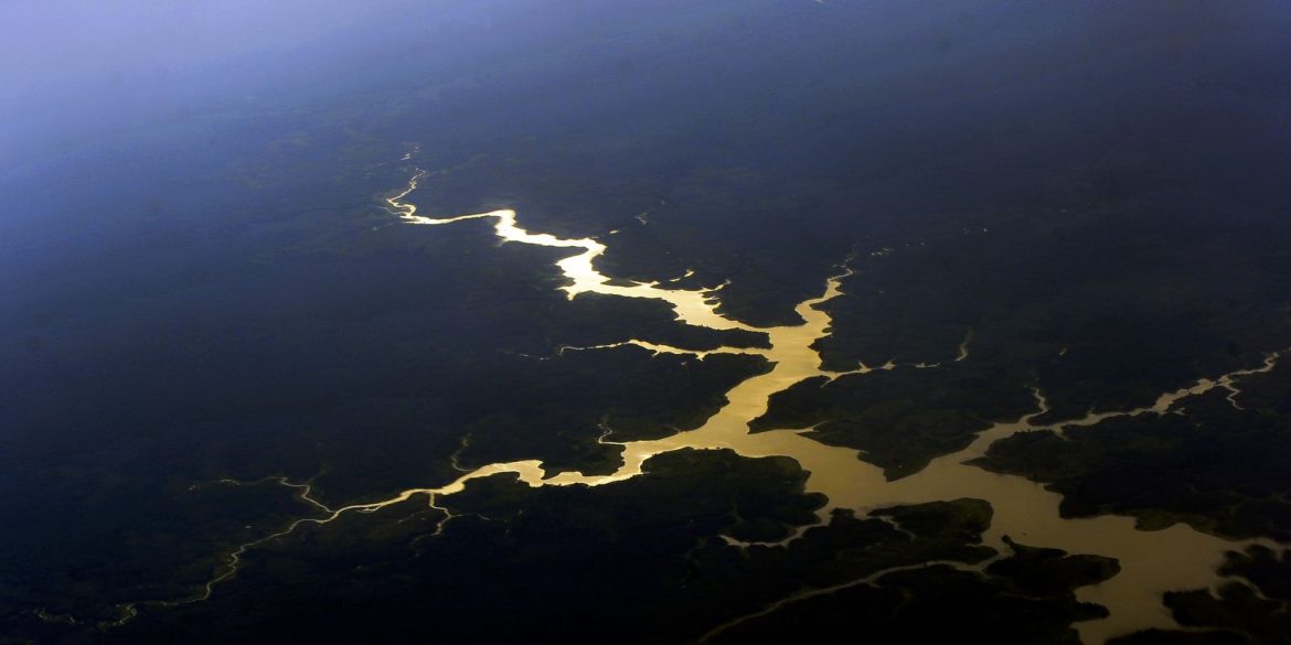 captura-de-carbono-na-amazonia-esta-em-risco,-diz-estudo captura-de-carbono-na-amazonia-esta-em-risco,-diz-estudo